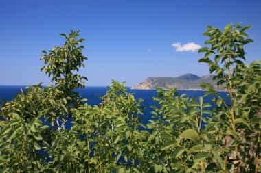 the cinque terre hiking paths the cinque terre hiking paths