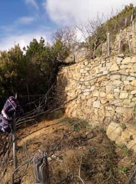 Cinque Terre muri a secco