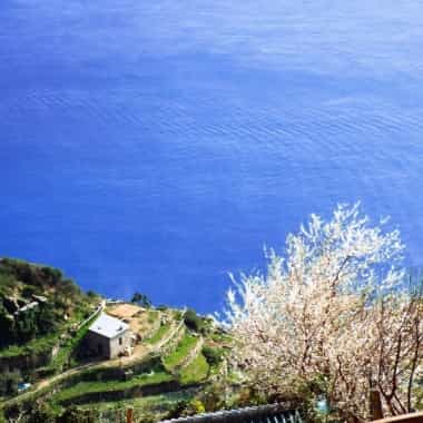 panorama dal sentiero per Montenero