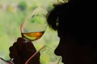 toast la spezia at the wine festival liguria bere