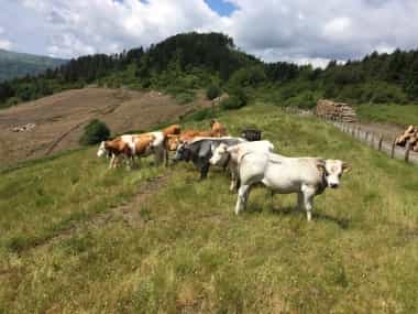 travel notes la spezia cinque terre and surroundings 6