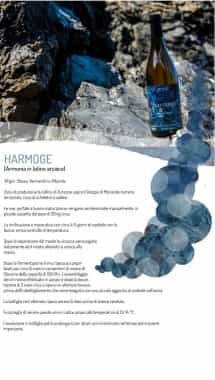 il cibo degli dei della liguria ode alla bruschetta