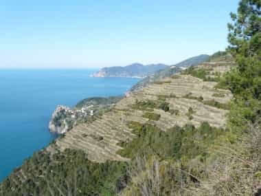cinque terre terrazze