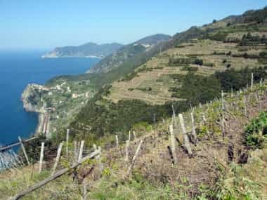muretti a secco cinque terre