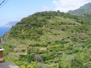 cinque terre muri a secco