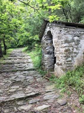 sentiero per soviore monterosso