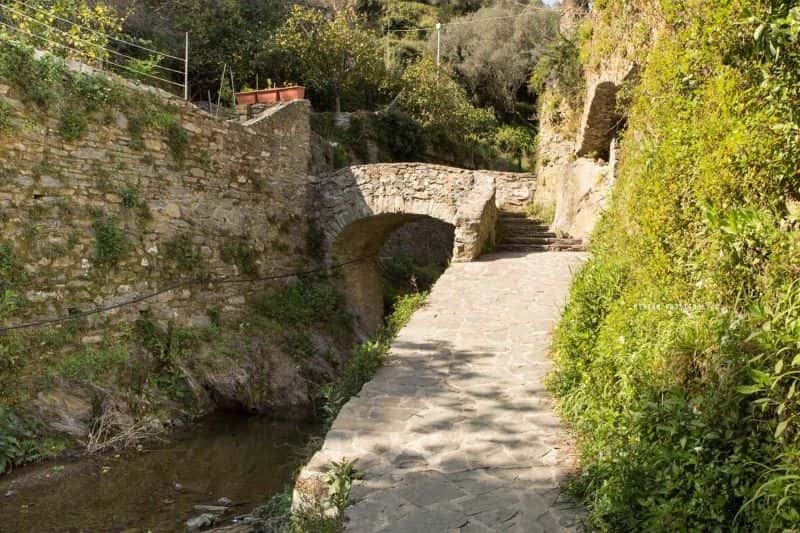 The path of the hermitage of the Maddalena in Monterosso