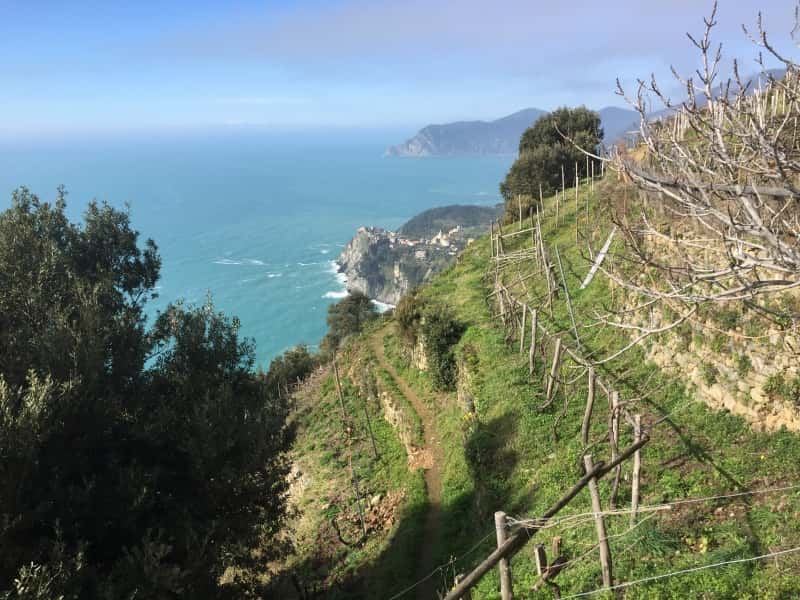 Impara l'Italiano soggiornando vicino alle Cinque Terre