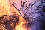 Incendi alle Cinque Terre -video-