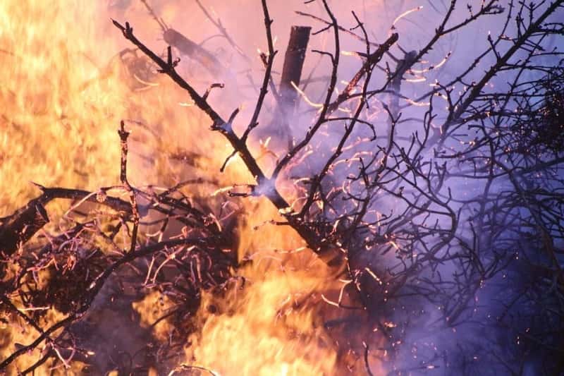 Incendi alle Cinque Terre -video-