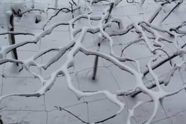 neve alle cinque terre video foto