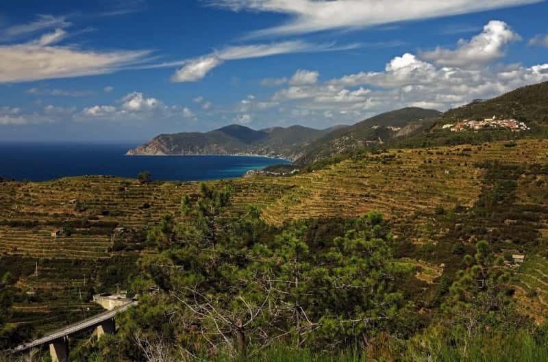 Sulle strade delle Cinque Terre