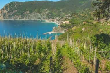 sentiero monterosso