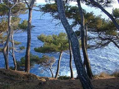 sentiero colle di gritta levanto le cinque terre