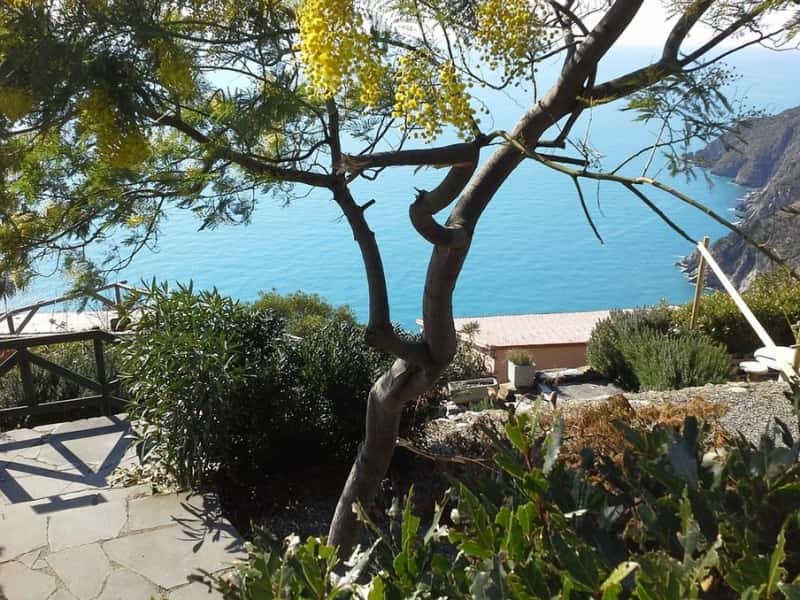 Cinque Terre Walking Park: calendario di giugno