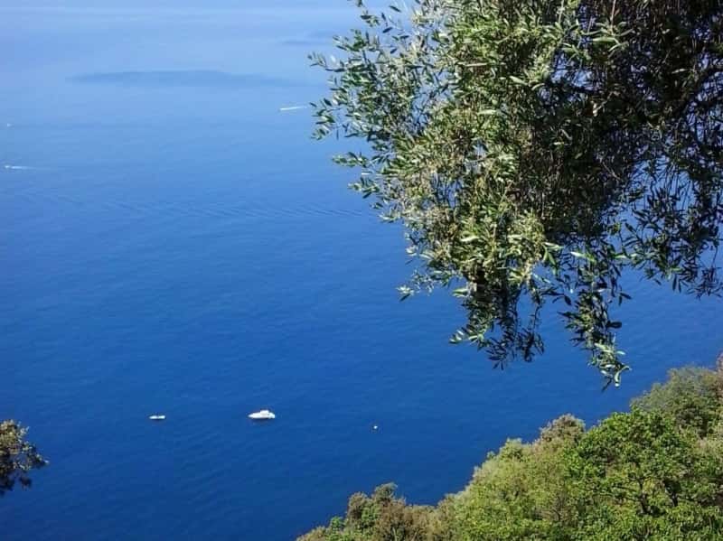 La felicit&agrave; delle piccole cose: una passeggiata tra Camogli e Punta Chiappa
